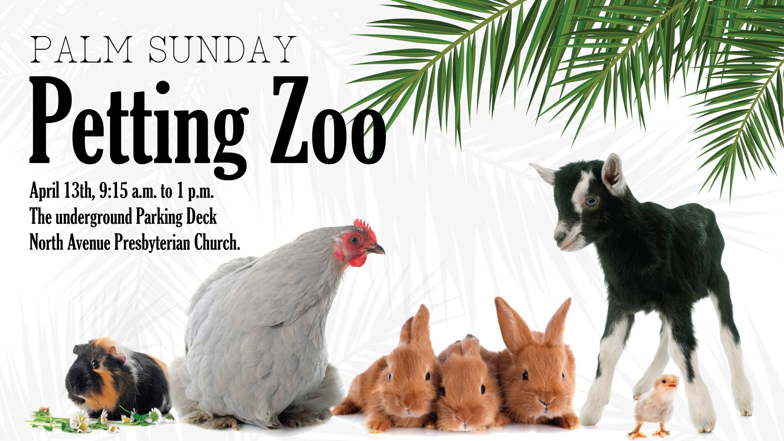 Palm Sunday Petting Zoo