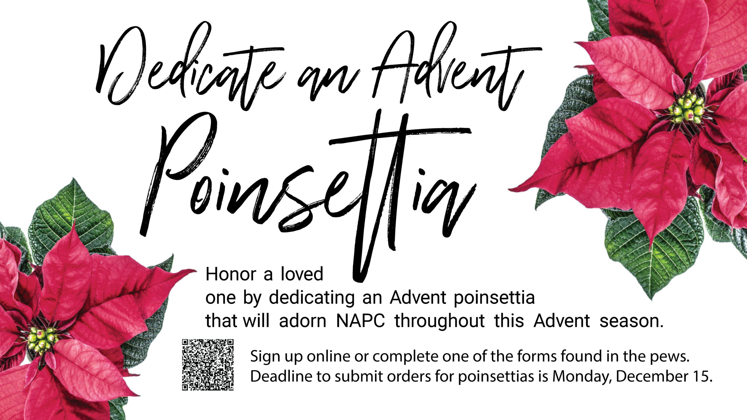 Poinsettias slide QR